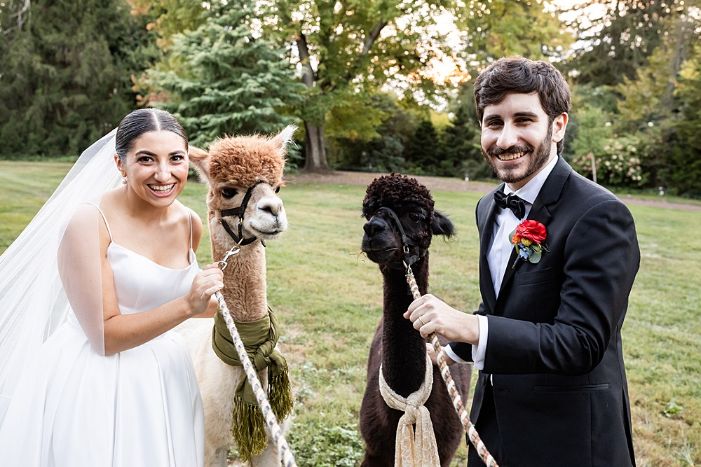 New Jersey Wedding Planner | Wedding favor alternatives ; Luxury wedding planning NJ; One-of-a-kind wedding ideas