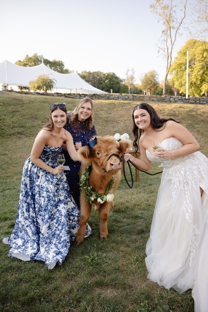 New Jersey Wedding Planner | Wedding favor alternatives ; Luxury wedding planning NJ; One-of-a-kind wedding ideas